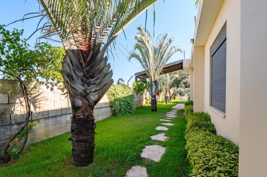 Photo of Outdoor in Daliyat al-Karmel