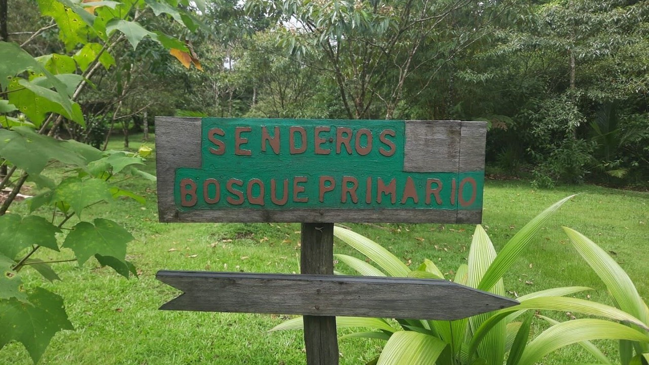 Photo of Outdoor in Canton Upala