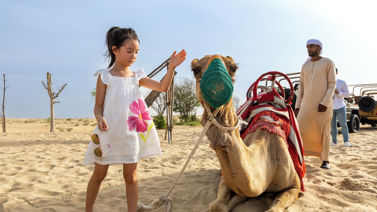 Photo of Others in Dubai