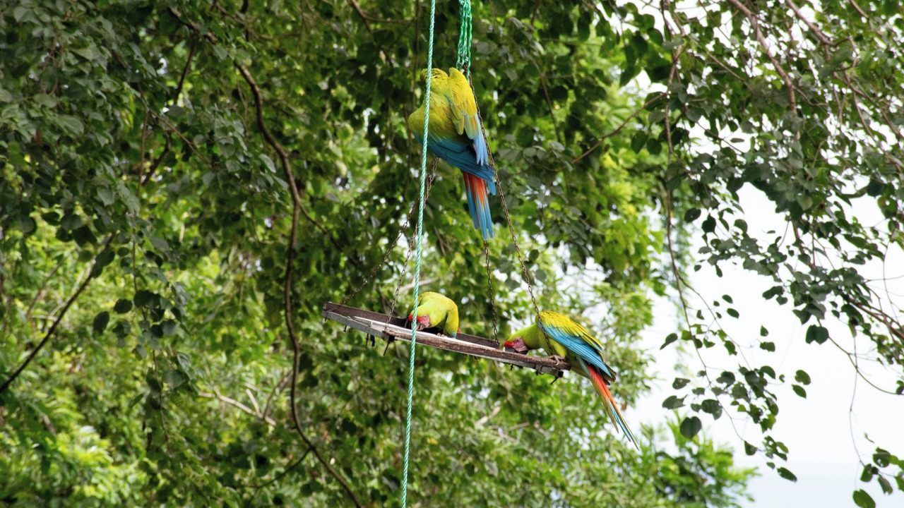 Photo of Others in Manzanillo