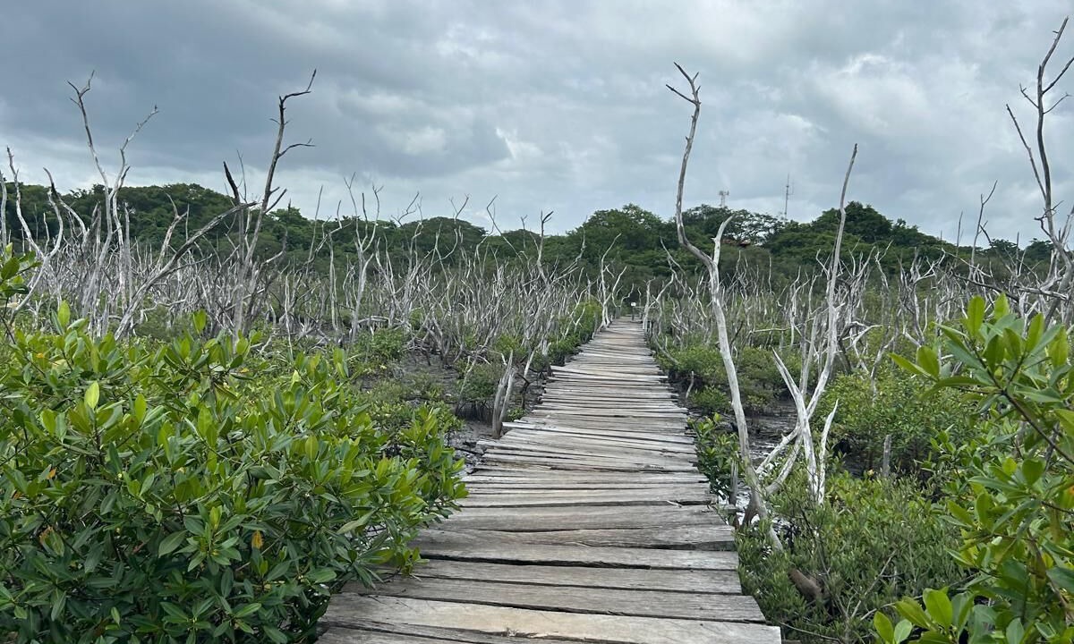 Photo of Others in Tamarindo