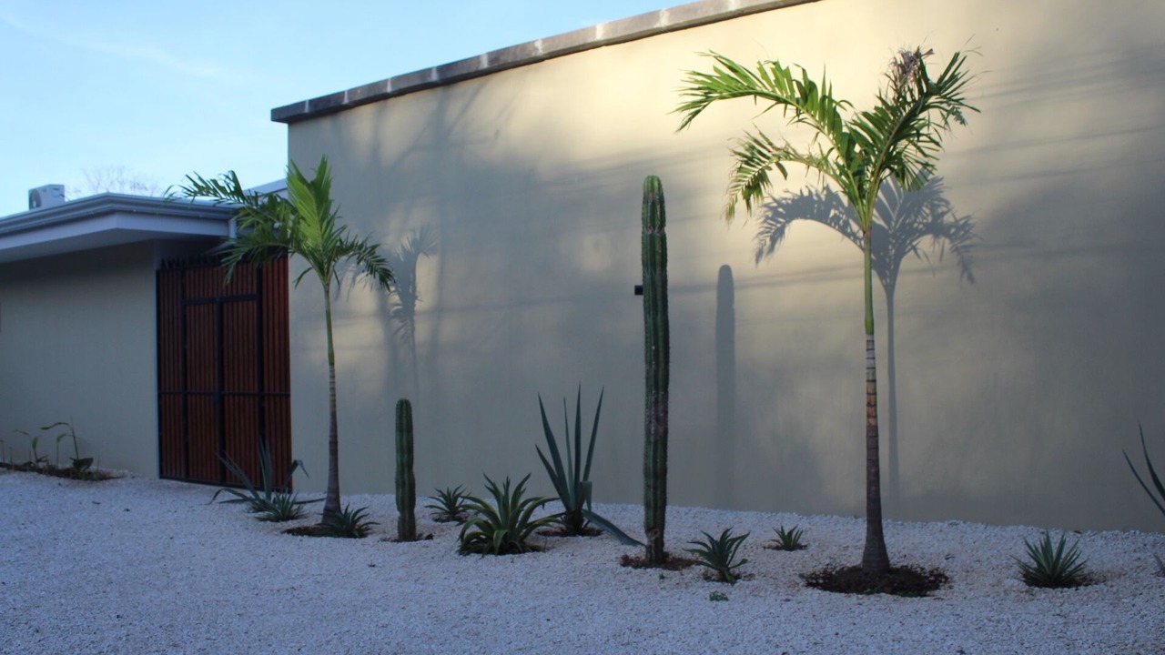 Photo of Outdoor in Tamarindo