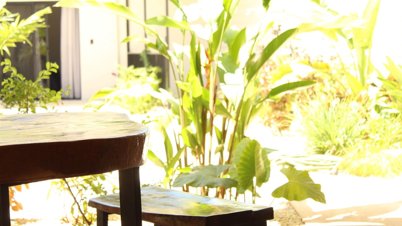 Photo of Outdoor in Tamarindo