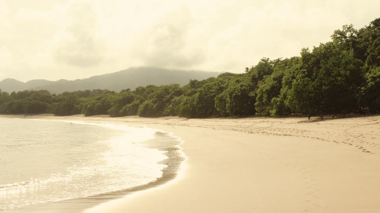 Photo of Others in Tamarindo
