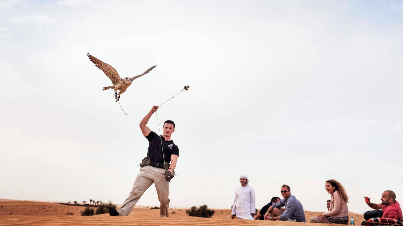 Photo of Others in Al Barsha 2