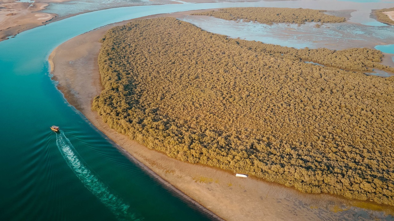 Photo of Others in Ras Al Khaimah