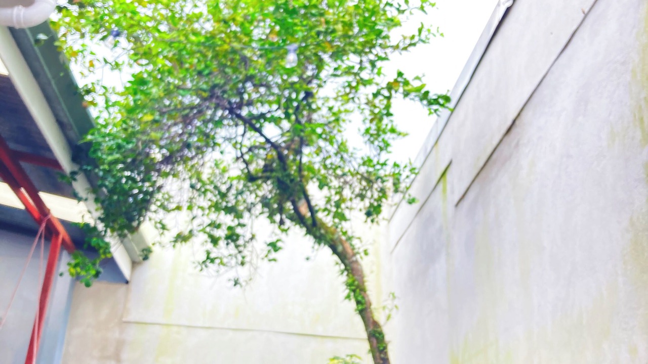 Photo of Outdoor in Cacique