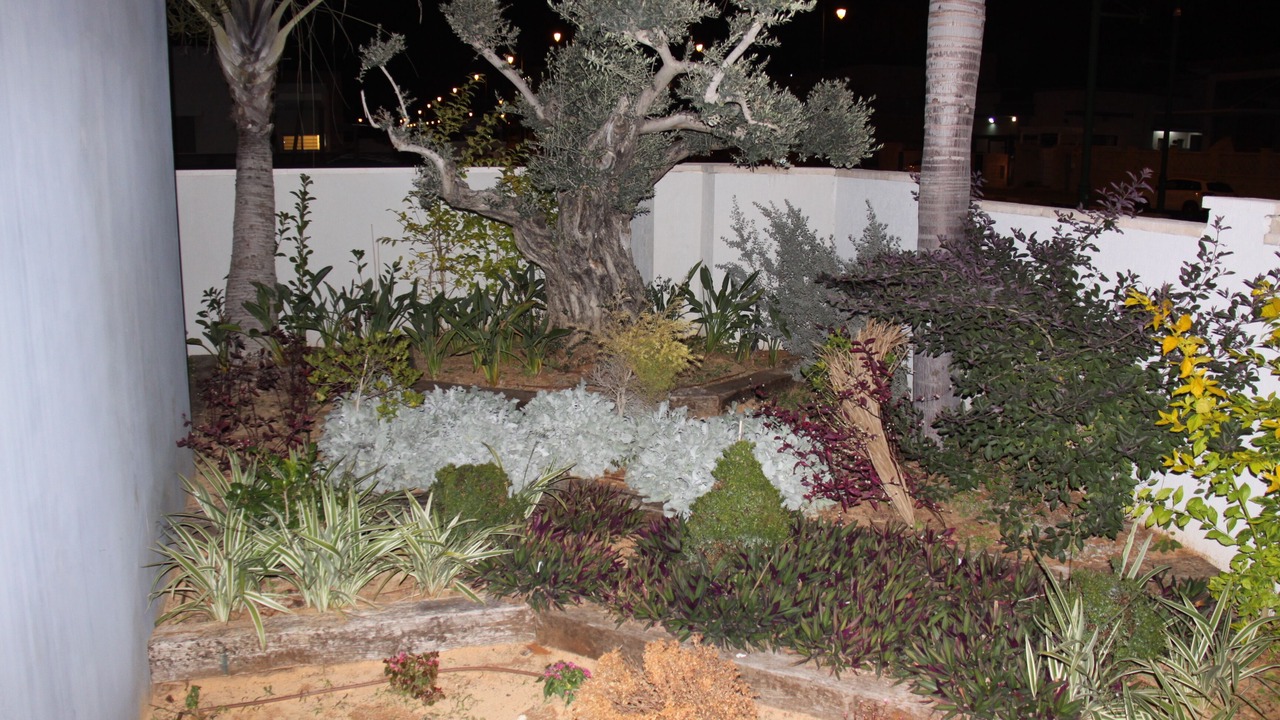 Photo of Outdoor in Ashkelon