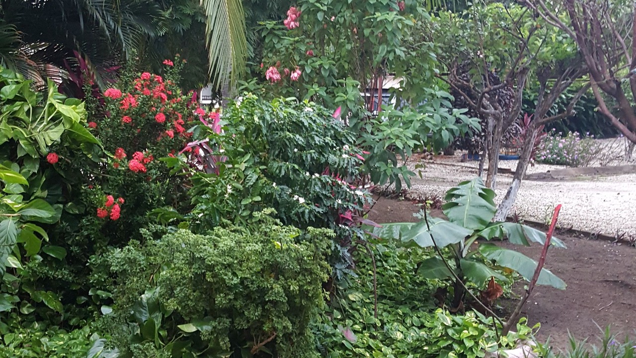 Photo of Outdoor in Liberia