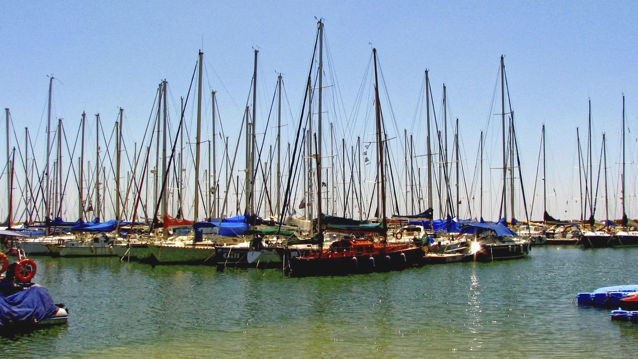 Photo of Others in Old North