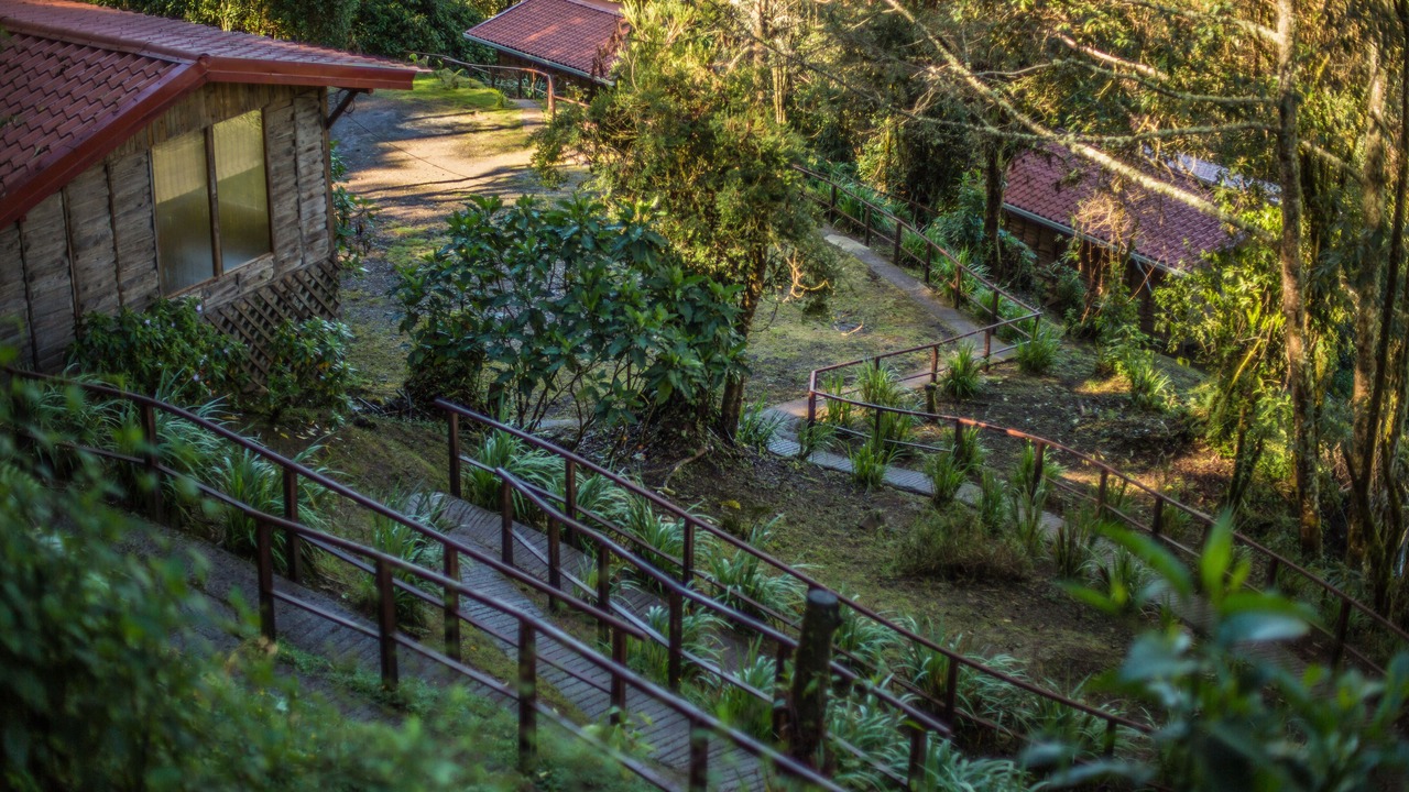 Photo of Outdoor in Copey