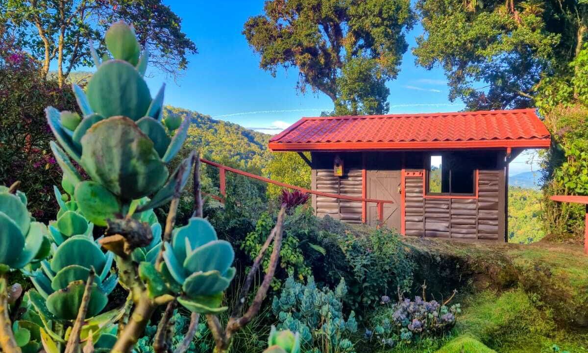 Photo of Outdoor in Copey