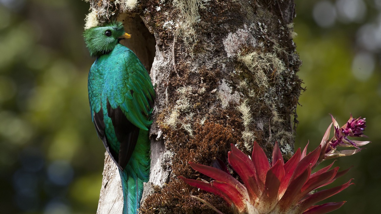 Photo of Outdoor in Copey