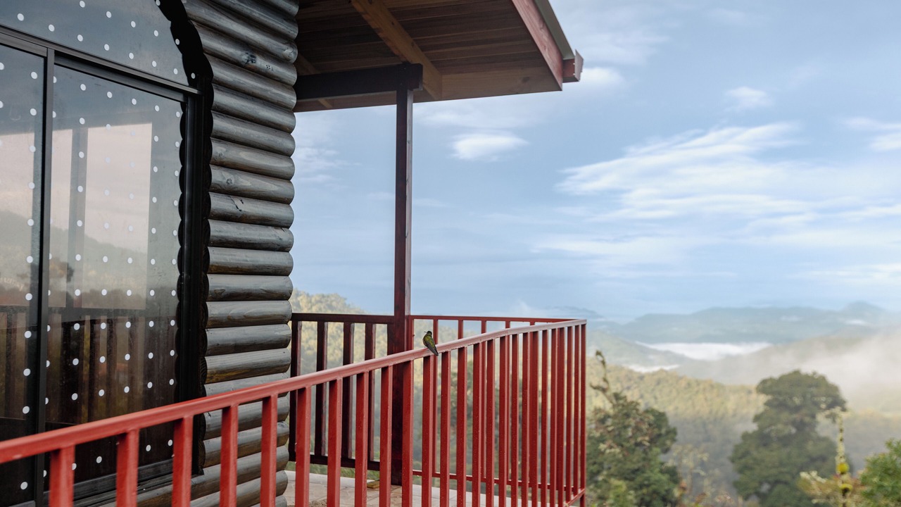 Photo of Outdoor in Copey