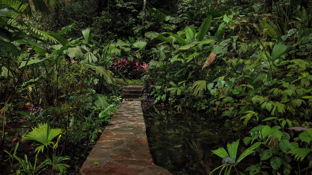 Photo of Outdoor in Naranjito