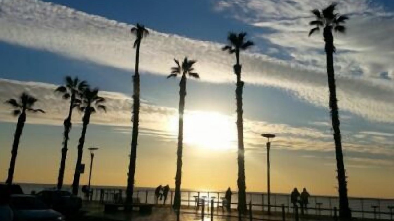 Photo of Others in Bat Yam