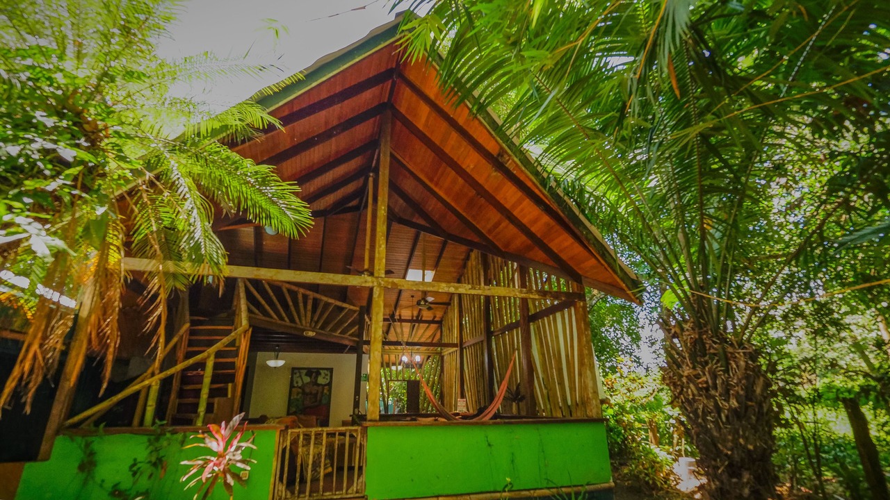 Photo of Outdoor in Puerto Jimenez