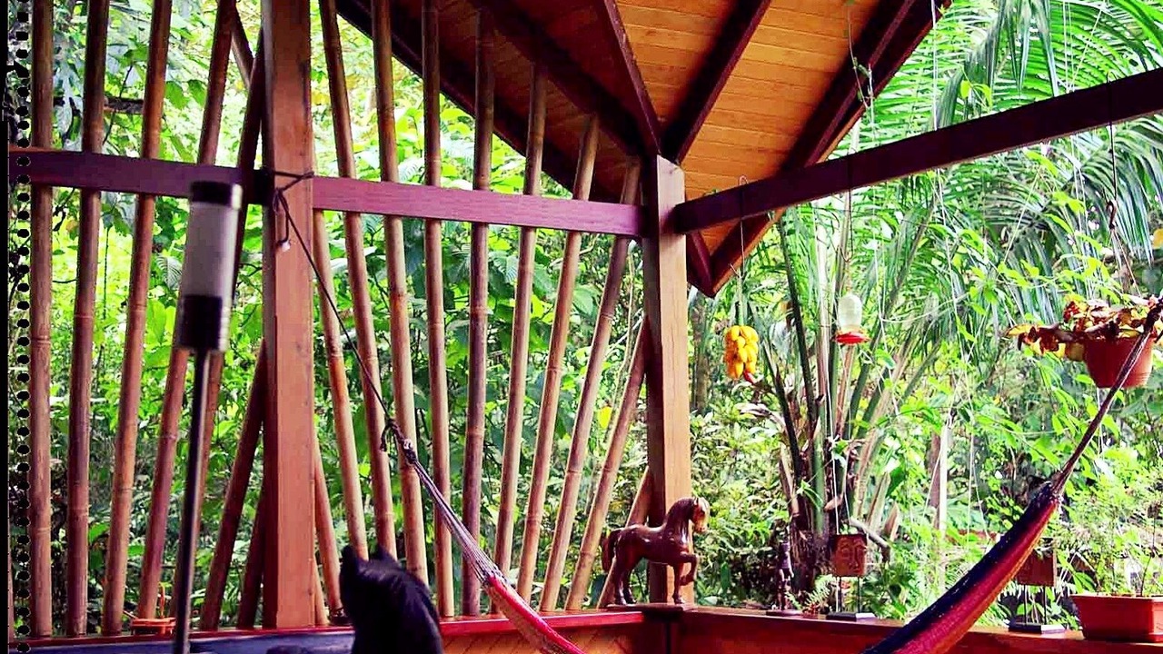 Photo of Bedroom in Puerto Jimenez