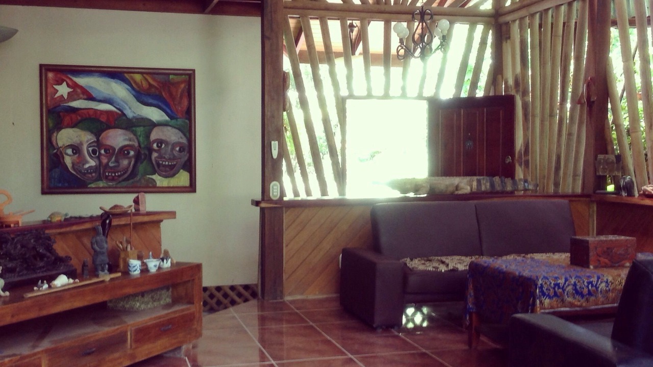 Photo of Livingroom in Puerto Jimenez
