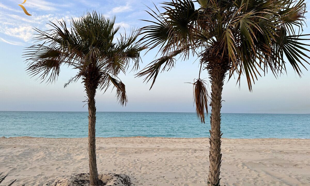 Photo of Others in Saadiyat Cultural District