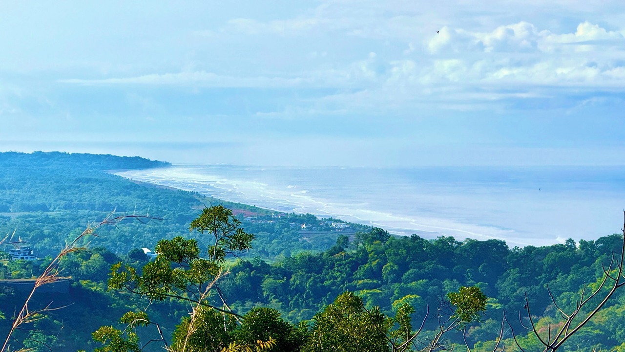 Photo of Others in Jaco