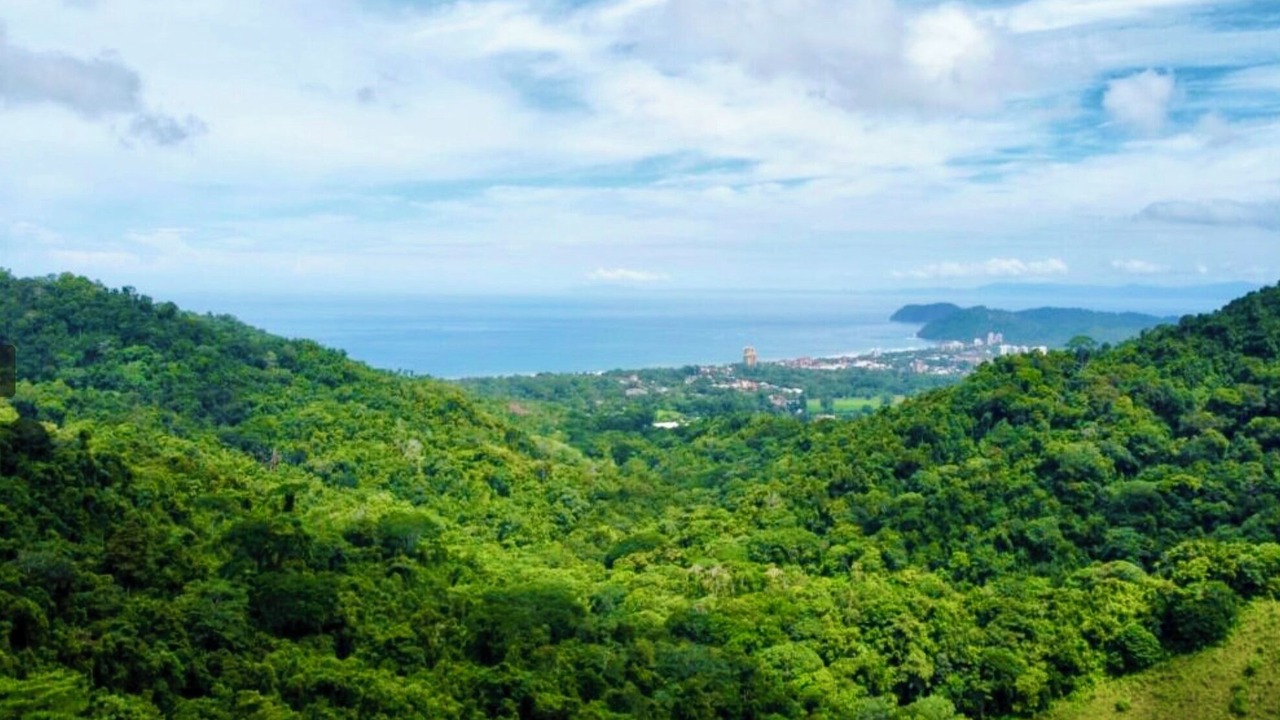 Photo of Outdoor in Jaco