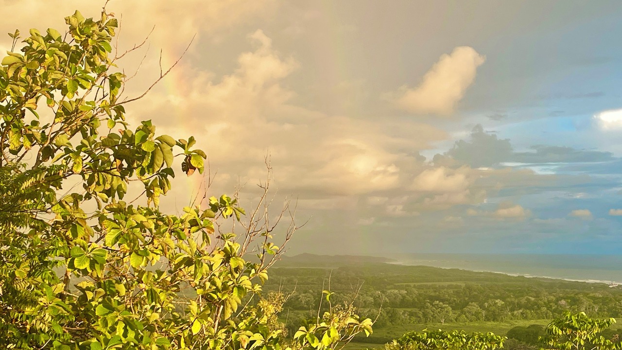 Photo of Others in Jaco