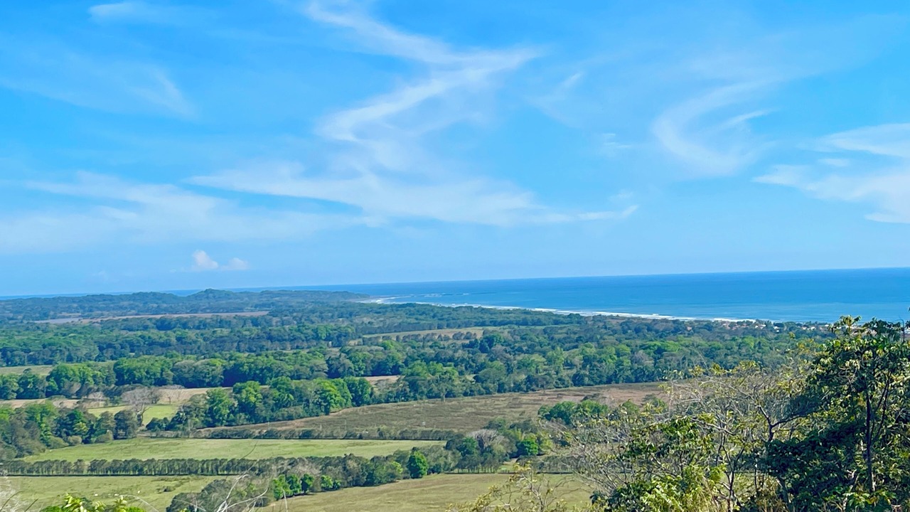 Photo of Others in Jaco