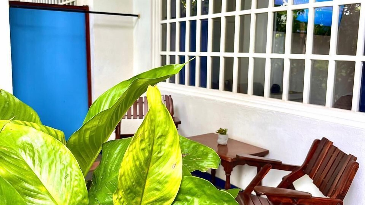Photo of Patio Balcony in Coco
