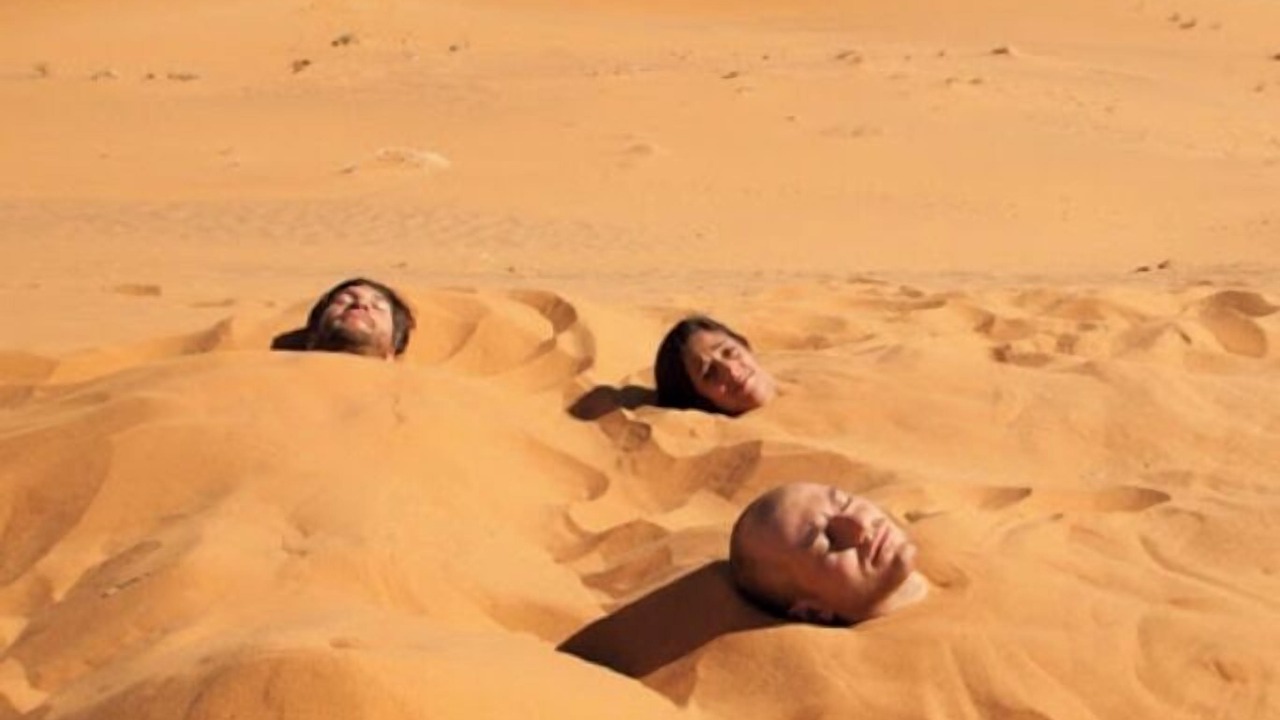 Photo of Others in Bidiya