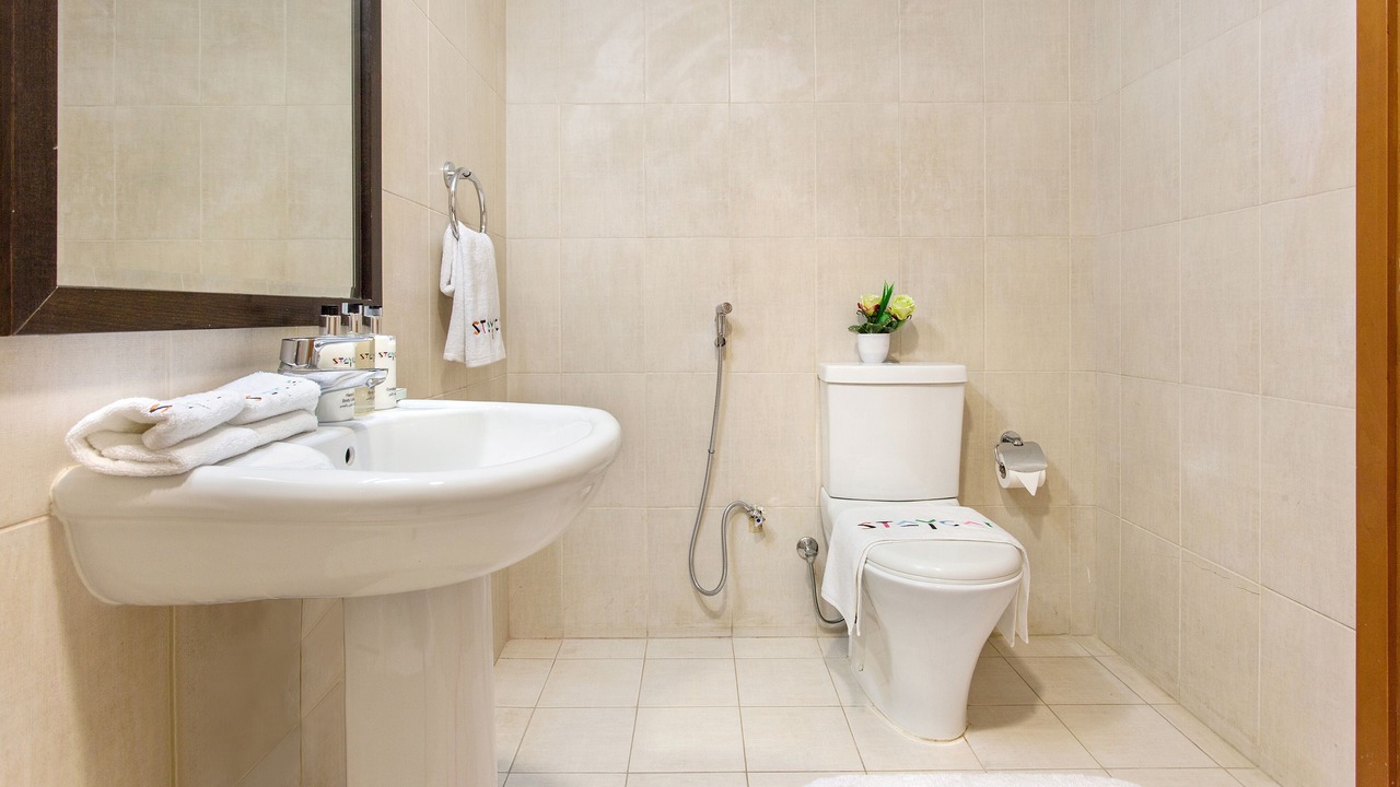 Photo of Bathroom in Jebel Ali