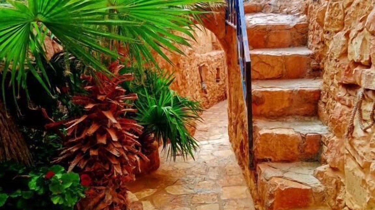 Photo of Outdoor in Dana
