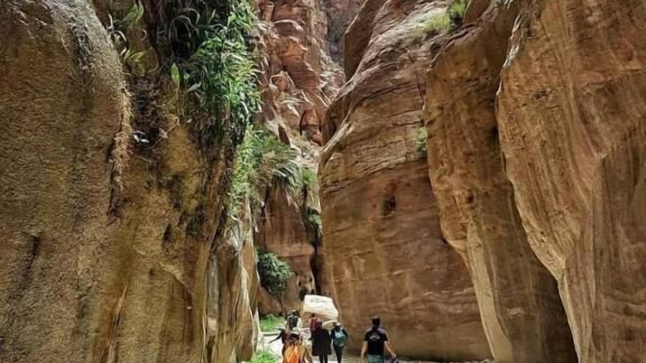 Photo of Outdoor in Dana