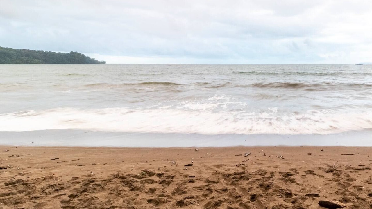 Photo of Others in Drake Bay