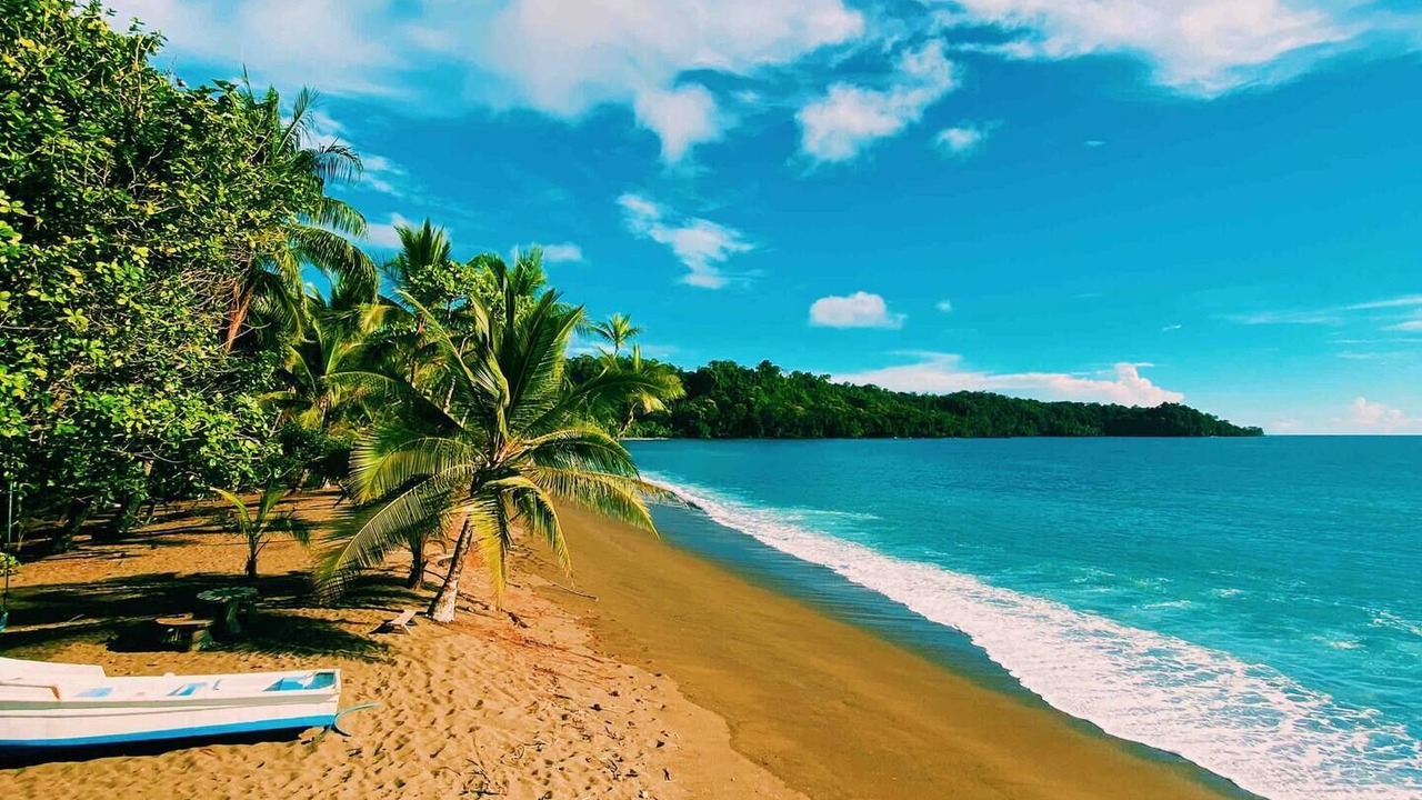 Photo of Others in Drake Bay