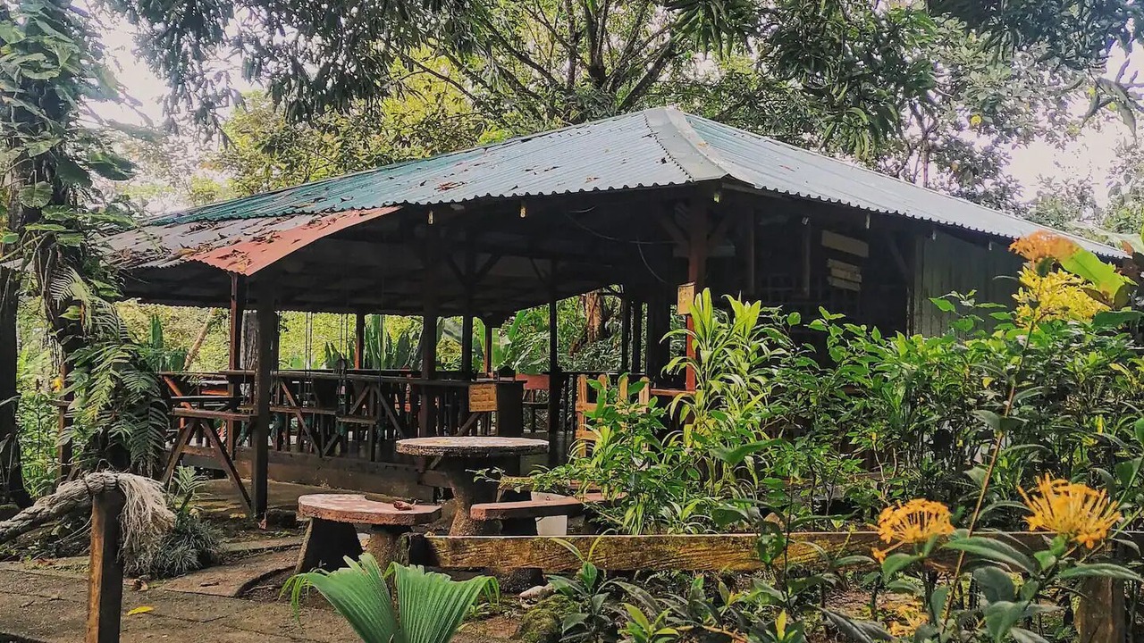 Photo of Outdoor in Drake Bay