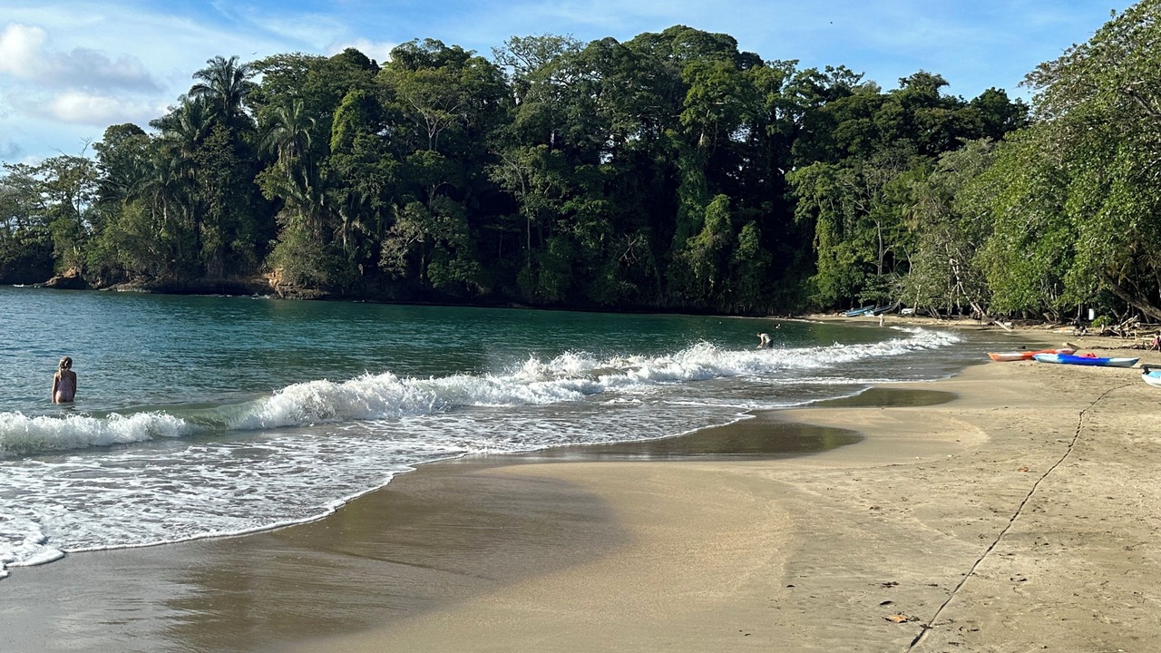 Photo of Others in Puerto Viejo de Talamanca