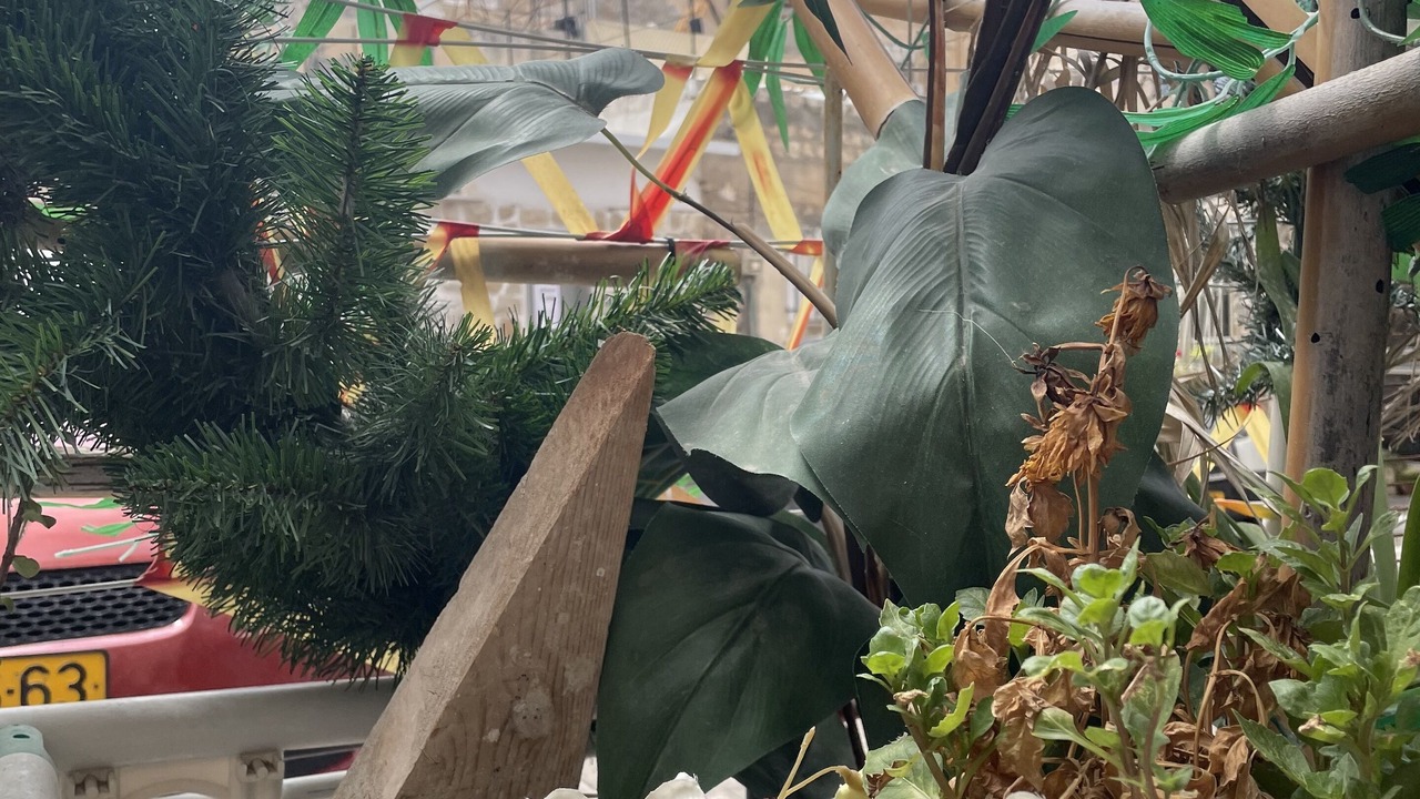 Photo of Outdoor in Haifa