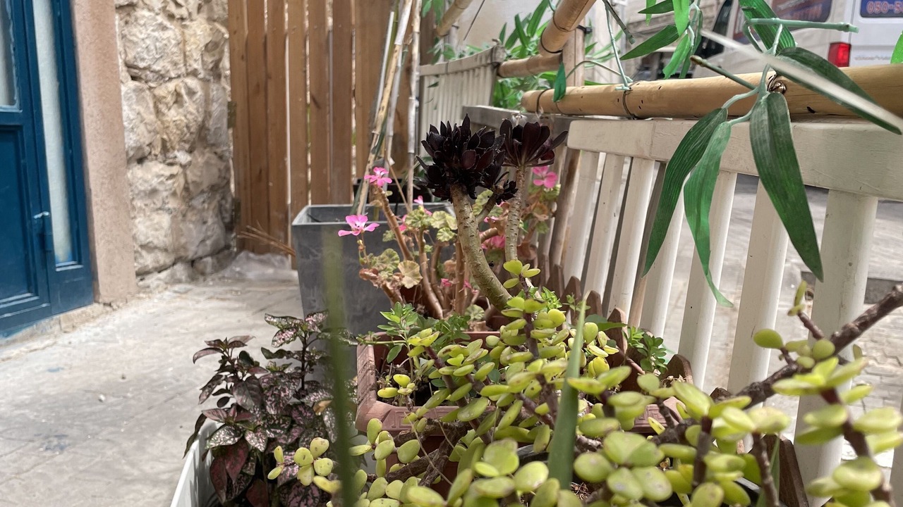 Photo of Outdoor in Haifa