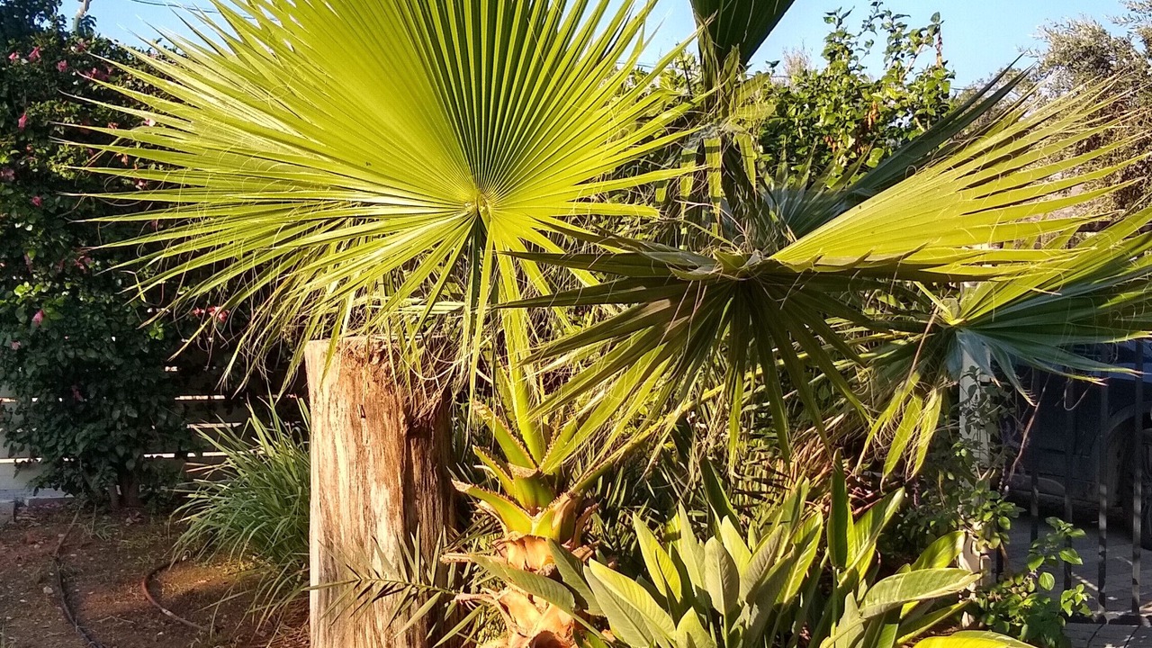 Photo of Outdoor in Yavne'el