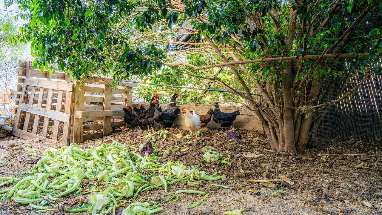 Photo of Outdoor in Yavne'el