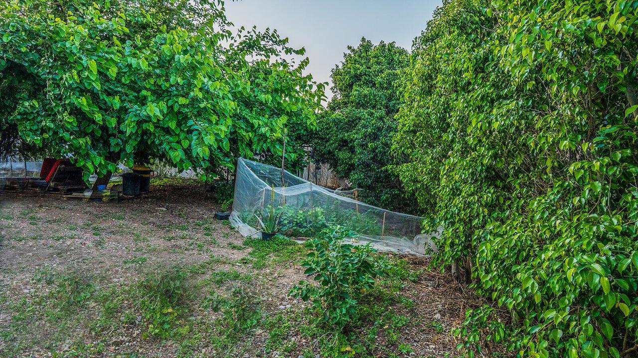 Photo of Outdoor in Yavne'el