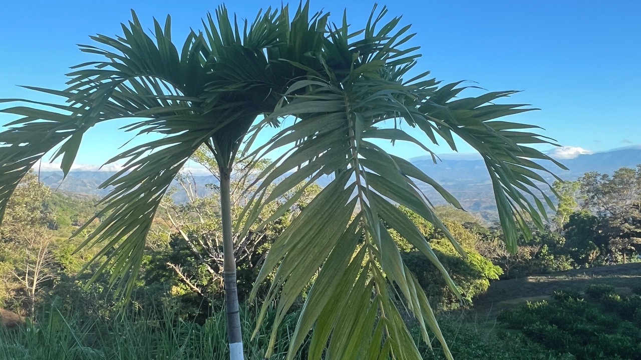 Photo of Outdoor in Pan de Azucar