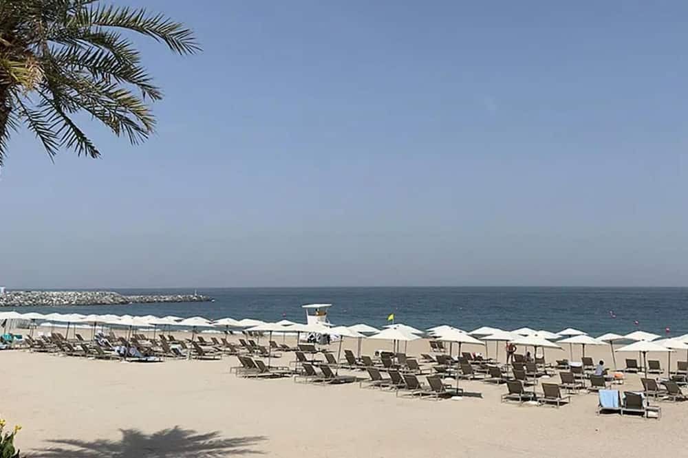 Photo of Others in Sharm
