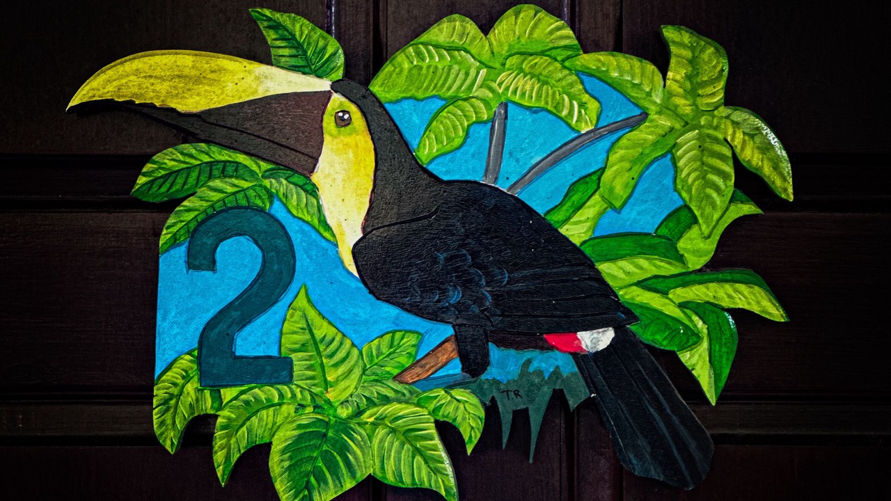Photo of Bedroom in Puerto Jimenez