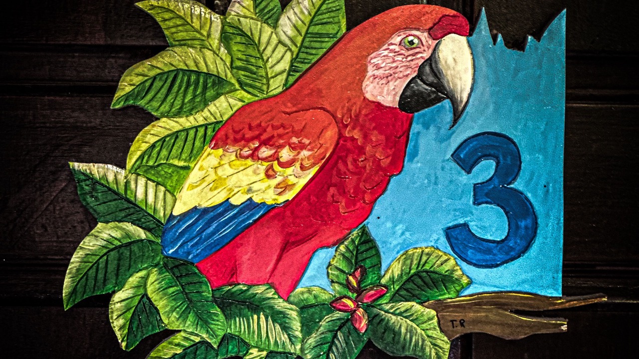 Photo of Bedroom in Puerto Jimenez