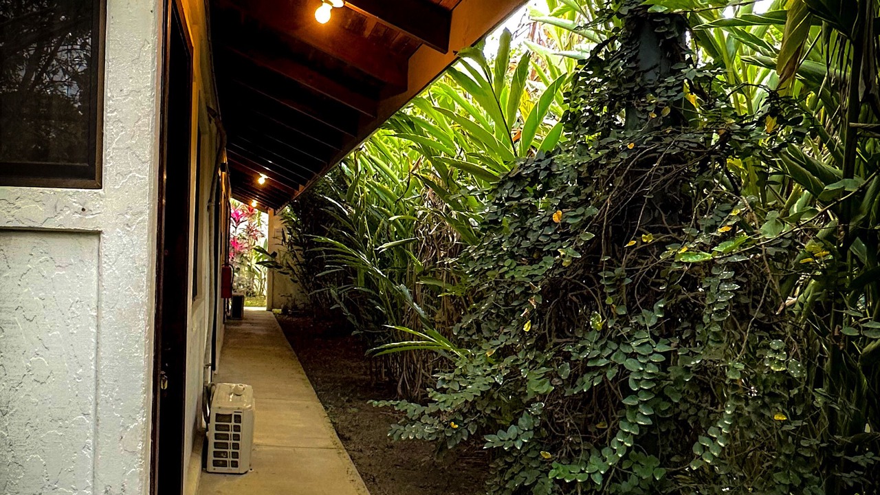 Photo of Outdoor in Puerto Jimenez