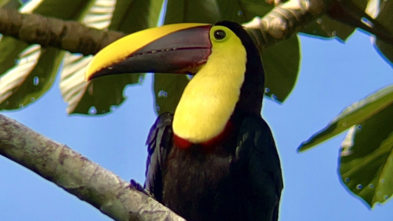 Photo of Outdoor in La Fortuna