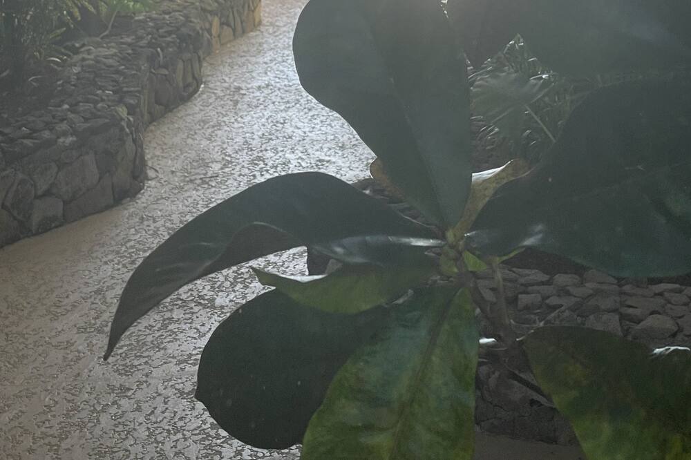 Photo of Outdoor in Panama Beach