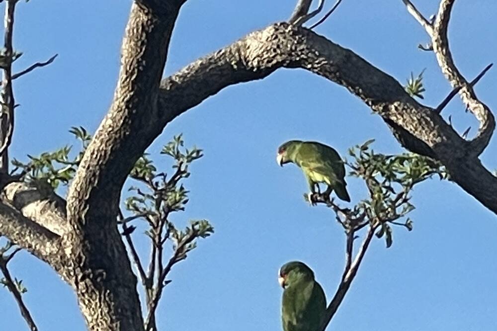 Photo of Outdoor in Panama Beach